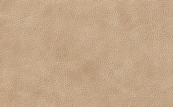 Saloon Leather - Biscuit