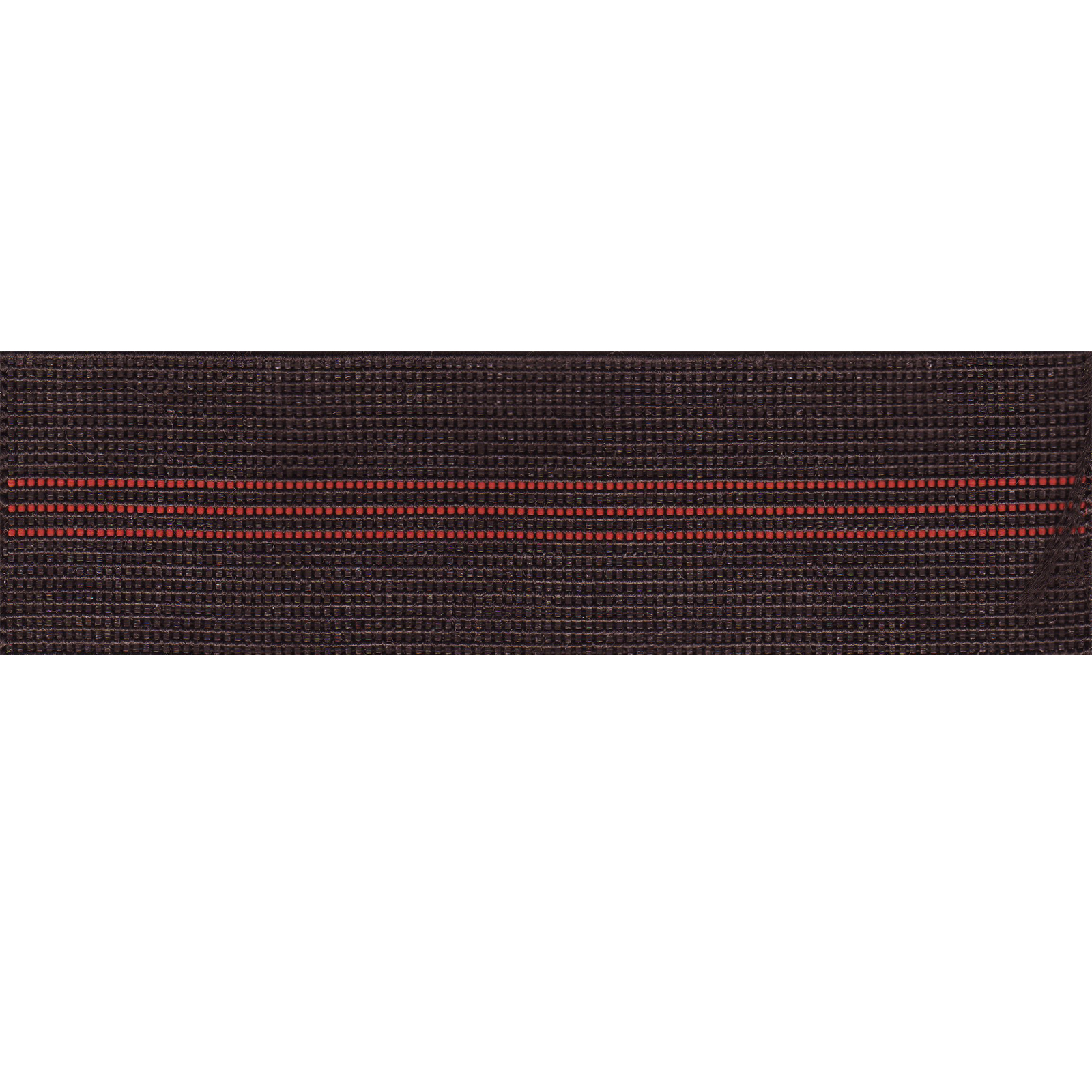 Elastic Webbing