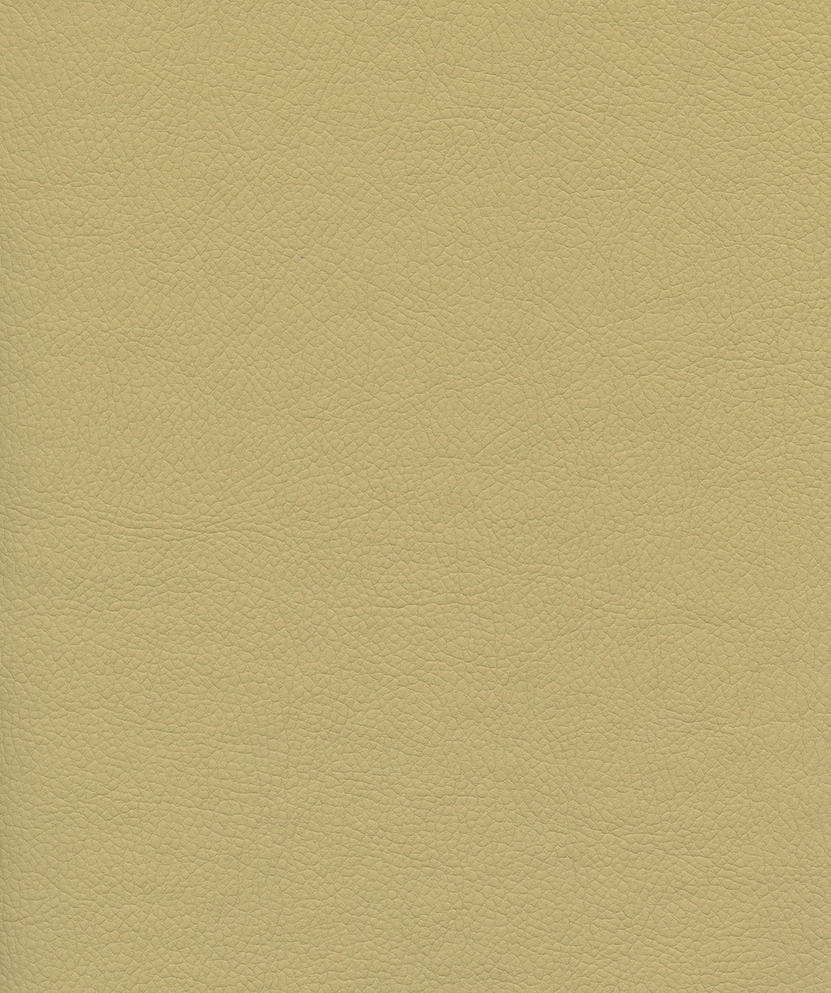 Venus Crib5 Vinyl Colour Coffee