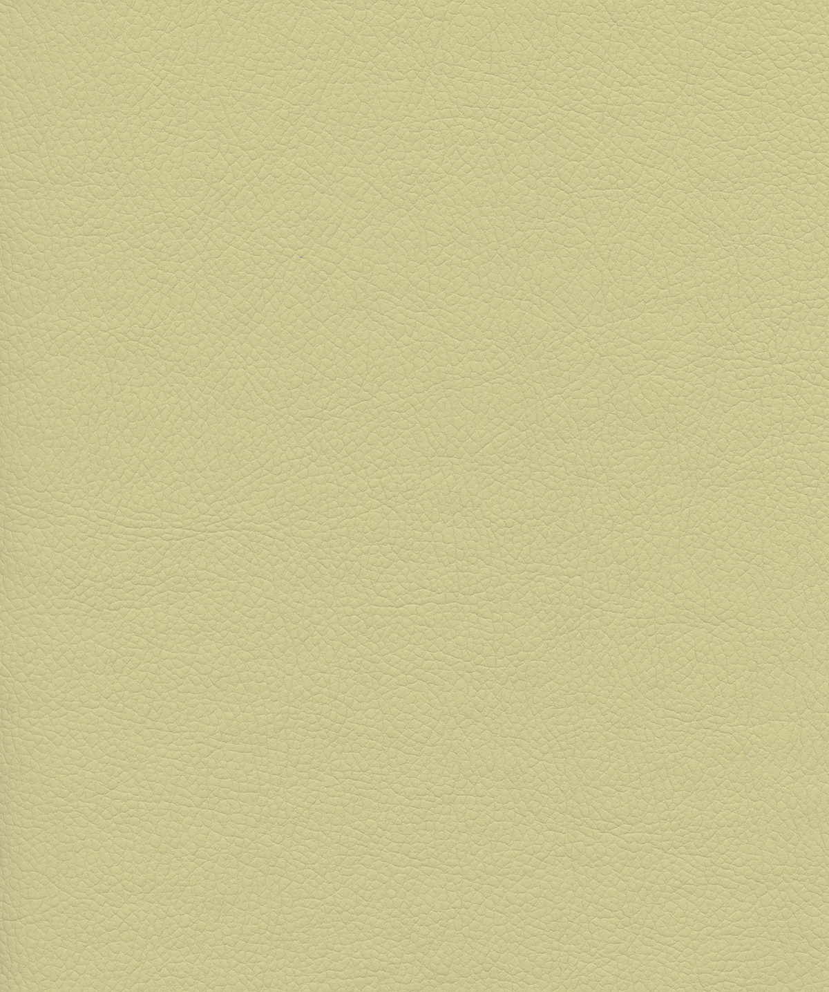Venus Crib5 Vinyl Colour Cream.