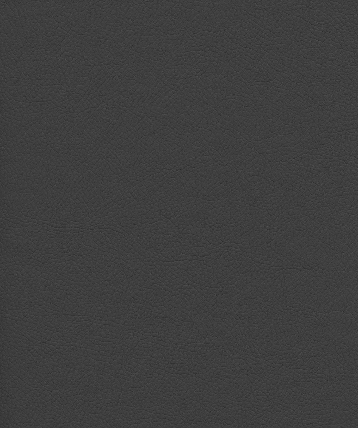 Venus Crib5 Vinyl Colour Graphite