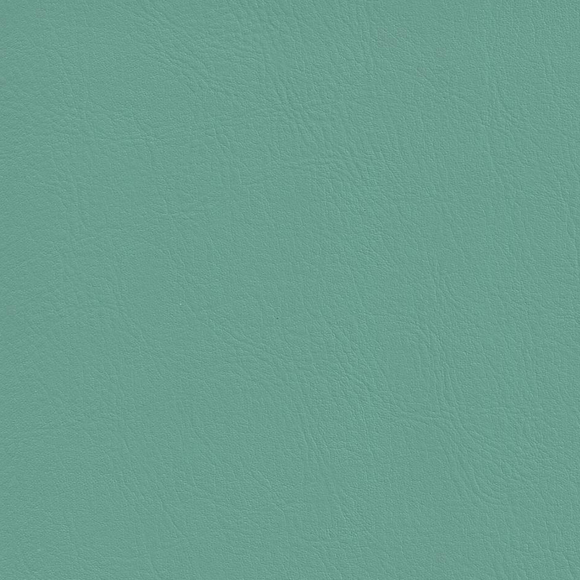 Just Vinyl - Smooth Grain - Applemint