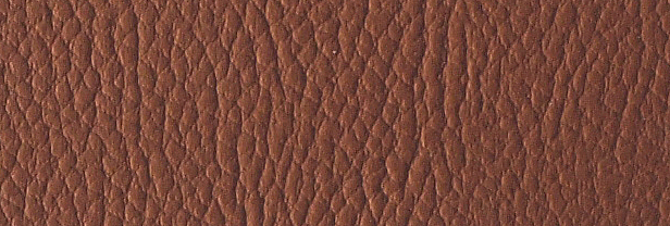 Legend - Cinnamon