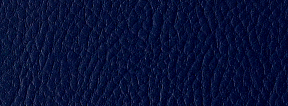 Legend - Navy
