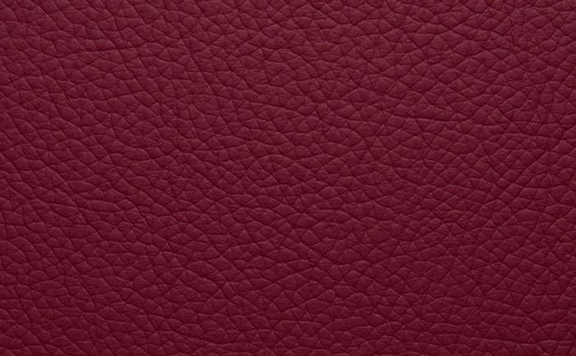 Shelly Leather - Anemone