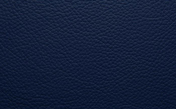Shelly Leather - Bilberry