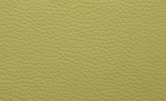 Shelly Leather - Chartreuse
