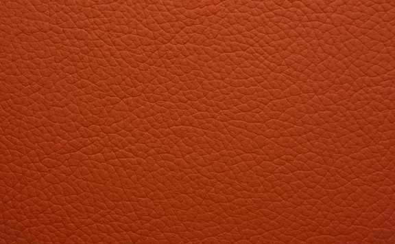 Shelly Leather - Flamenco