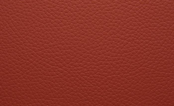 Shelly Leather - Horizon