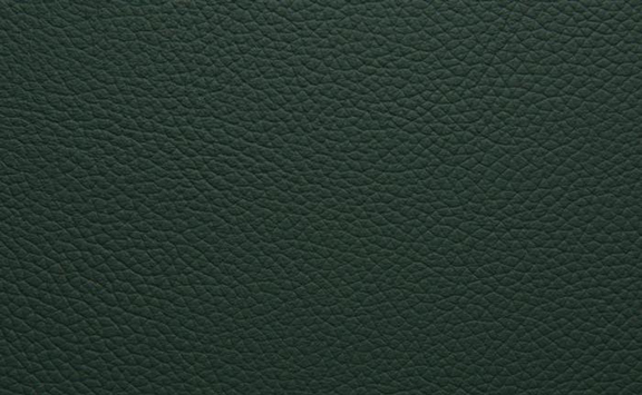 Shelly Leather - Jade Green