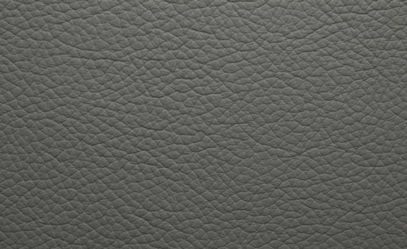 Shelly Leather - Moon Mist