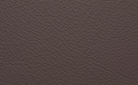 Shelly Leather - Owl