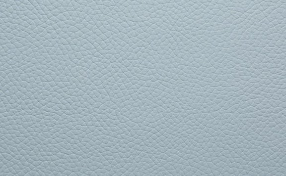 Shelly Leather - Parlour Blue