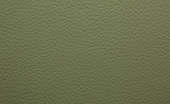 Shelly Leather - Pea Green
