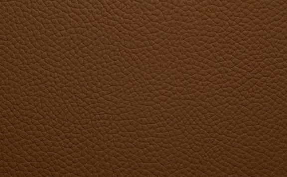 Shelly Leather - Saddle