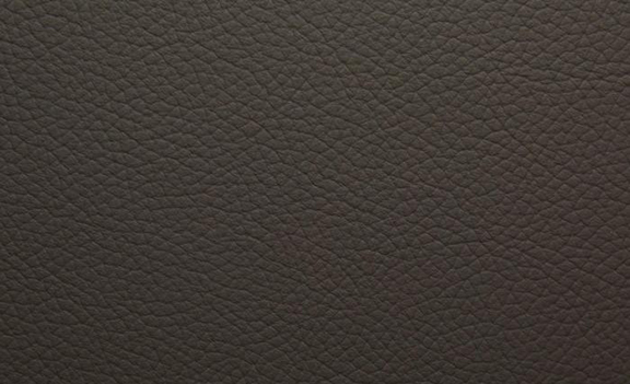 Shelly Leather - Silver Birch