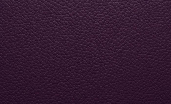 Shelly Leather - Wineberry