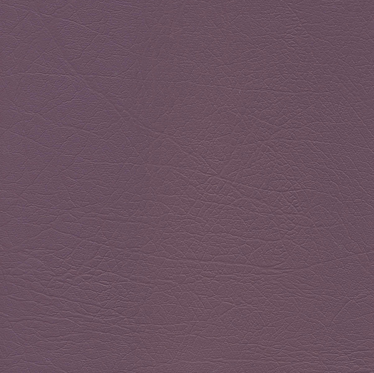 Pluto Waterproof Vinyl col Plum