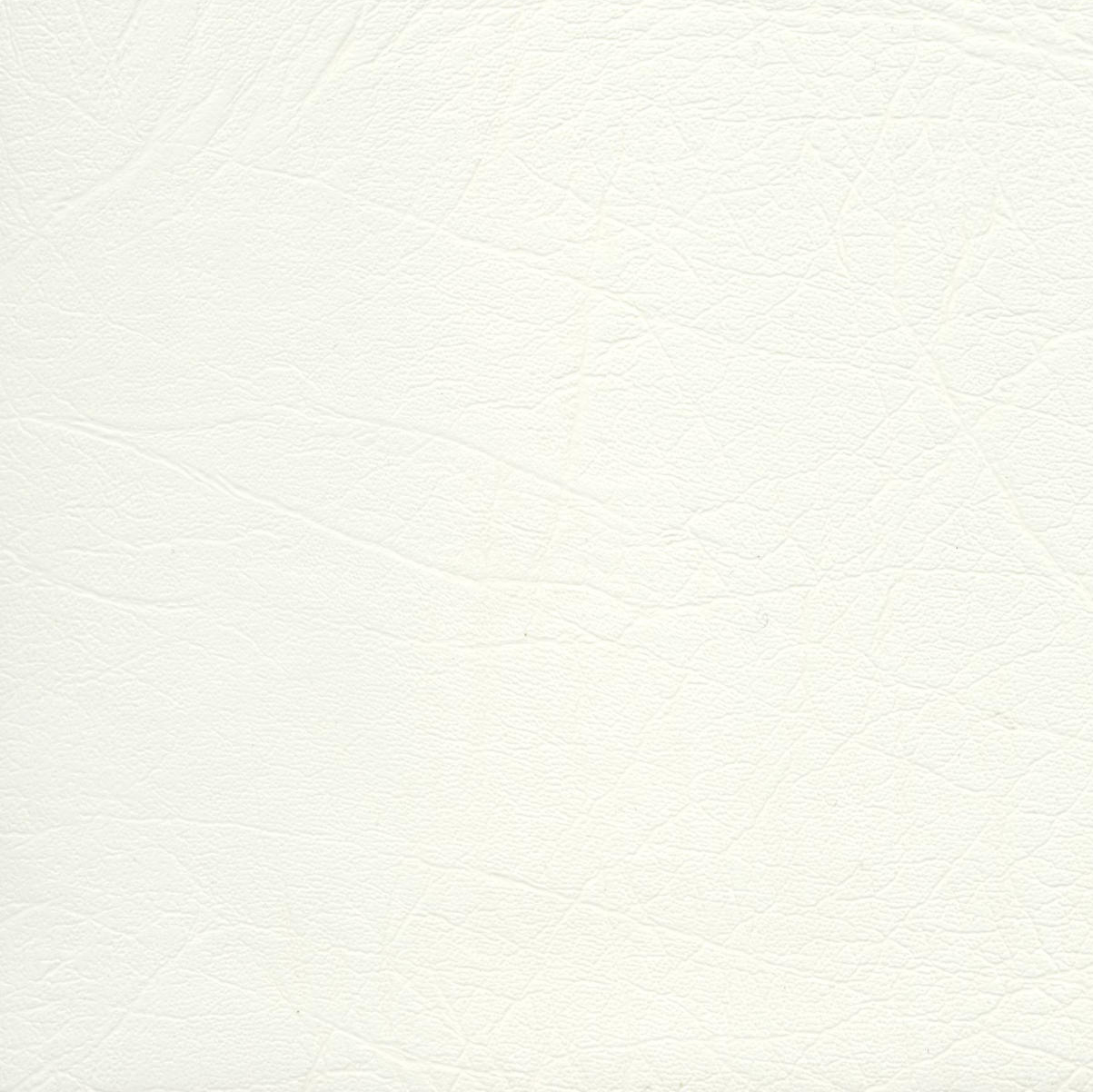 Pluto Waterproof Vinyl col Polar