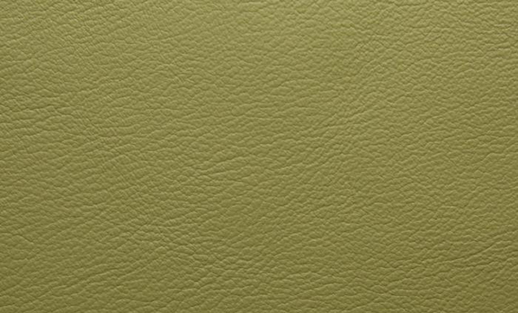 Vele Leather - Pistachio