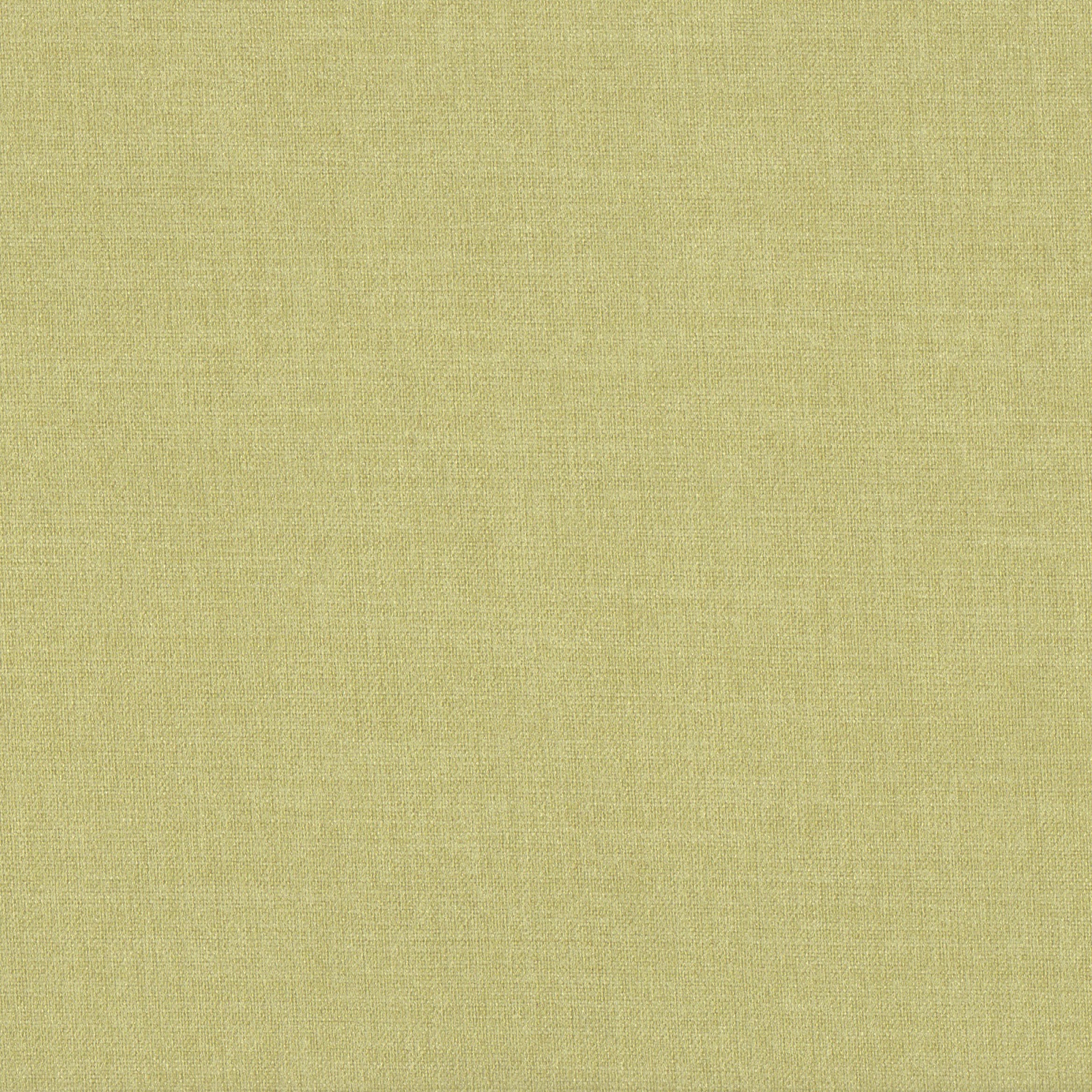 Moda Fabric Col. Sage