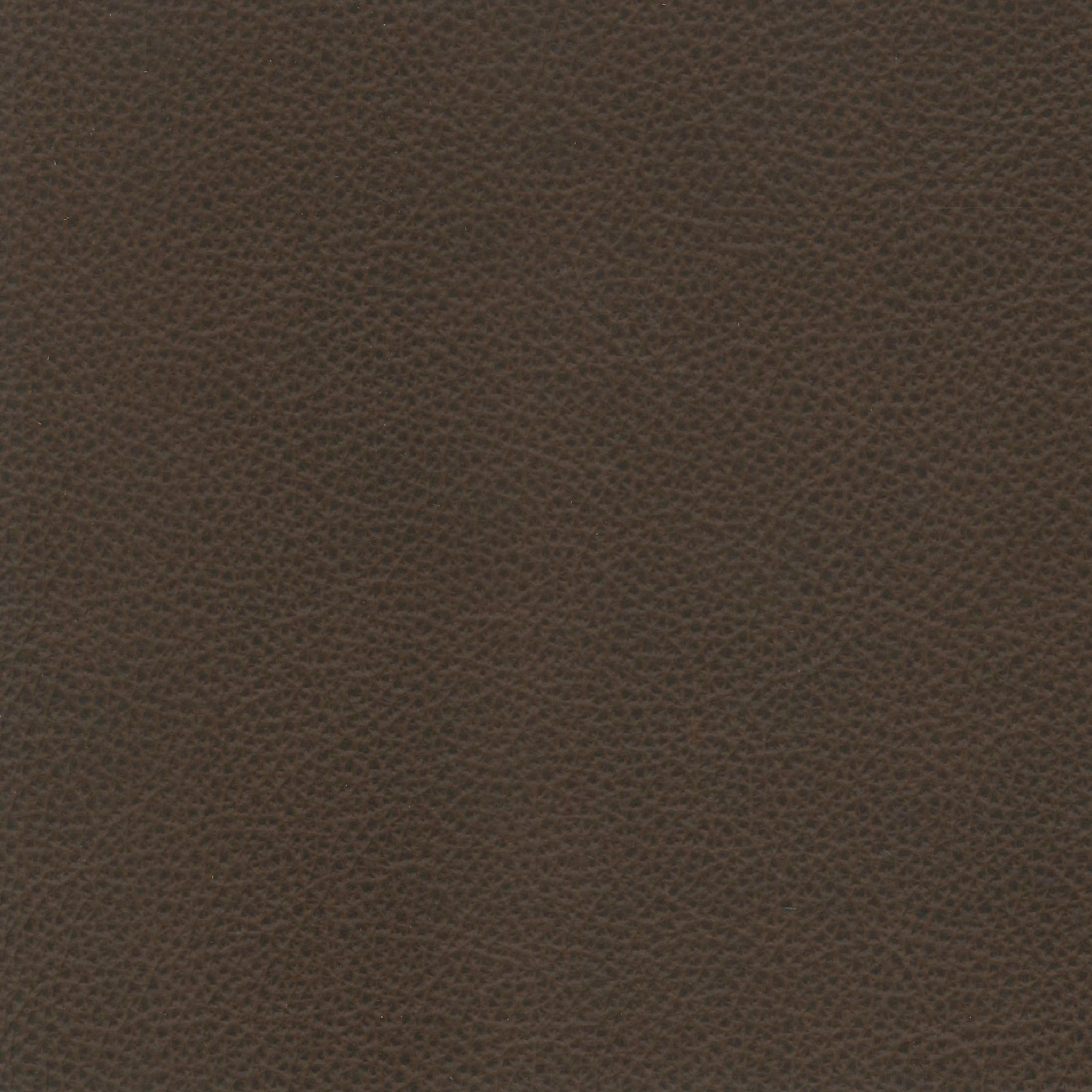 Origin Leather - Boomerang