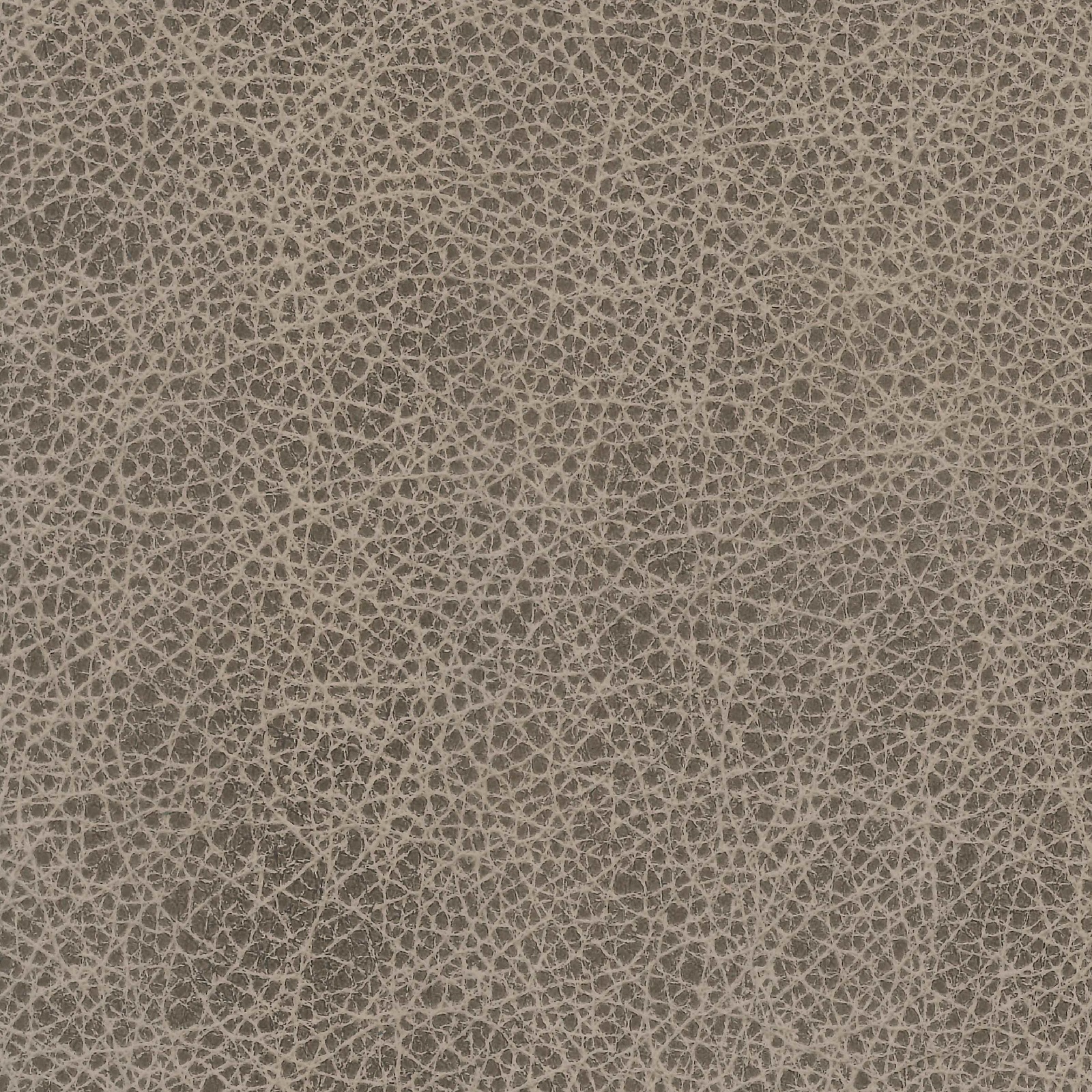 Origin Leather - Colosseum
