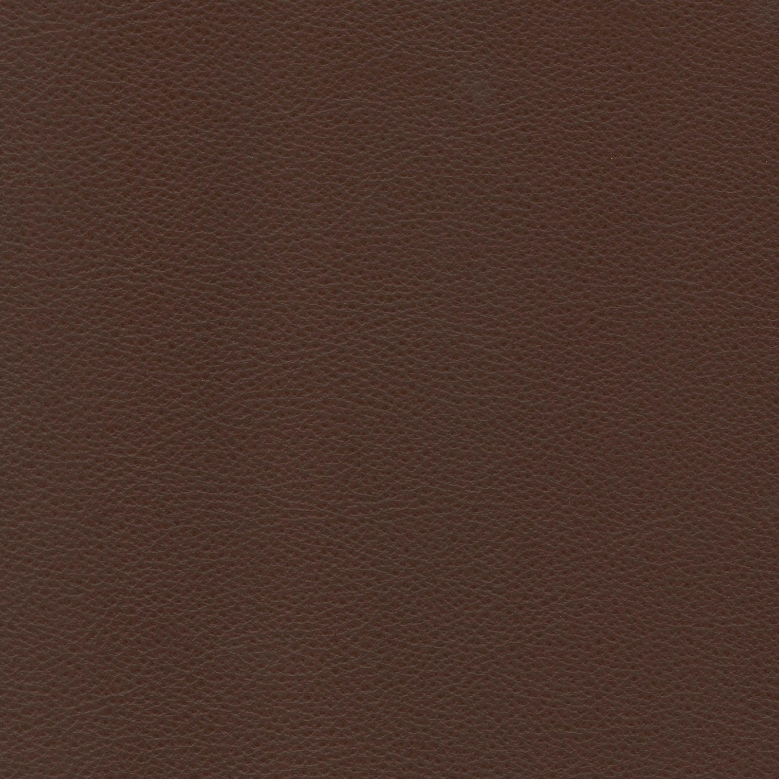 Lomond Leather - Copper Brown