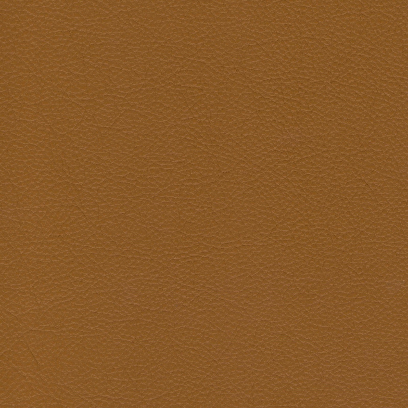 Lomond Leather - Honey