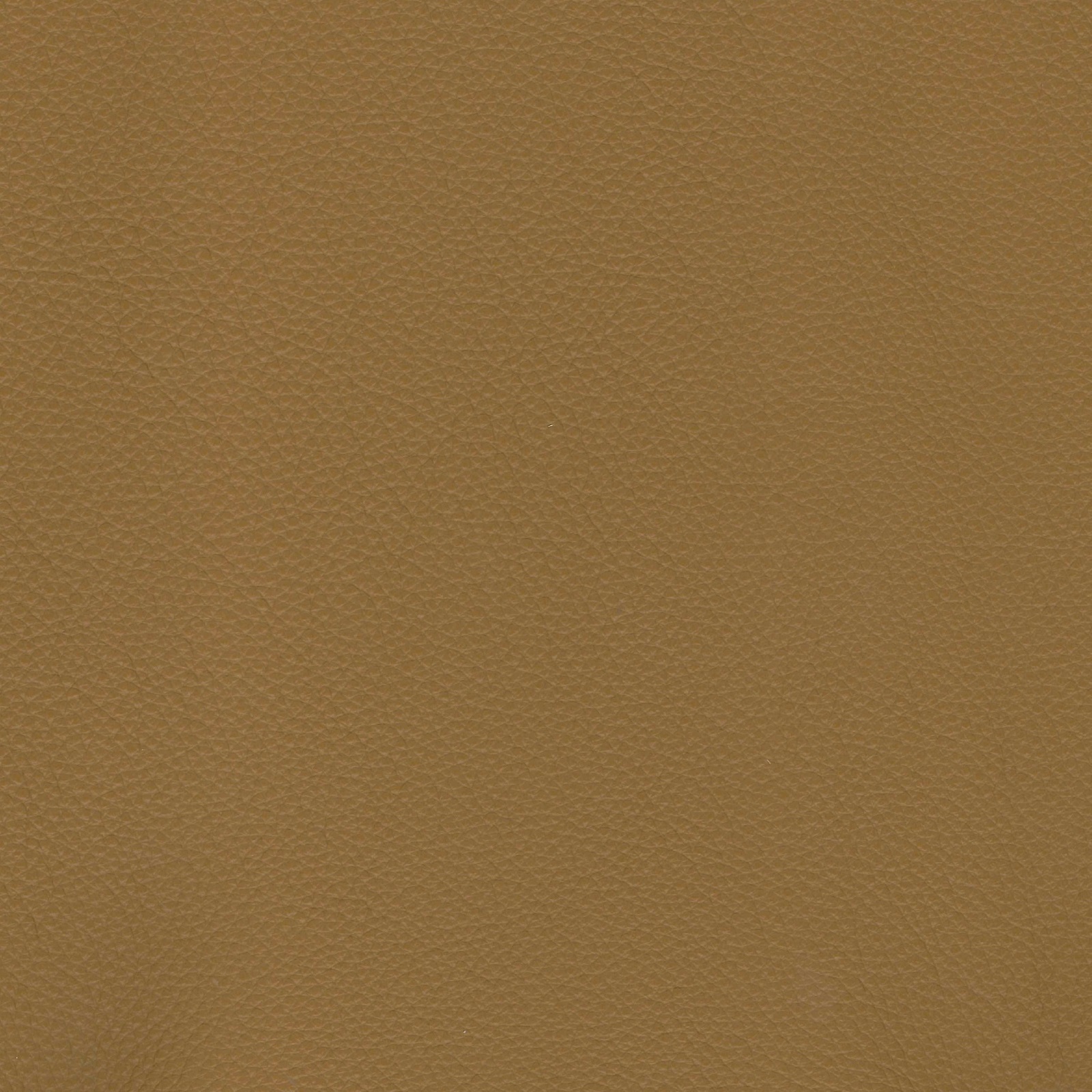 Lomond Leather - Light Gold