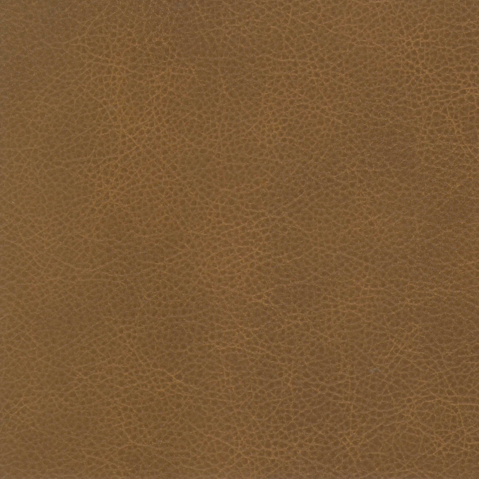 Origin Leather - Pyramid