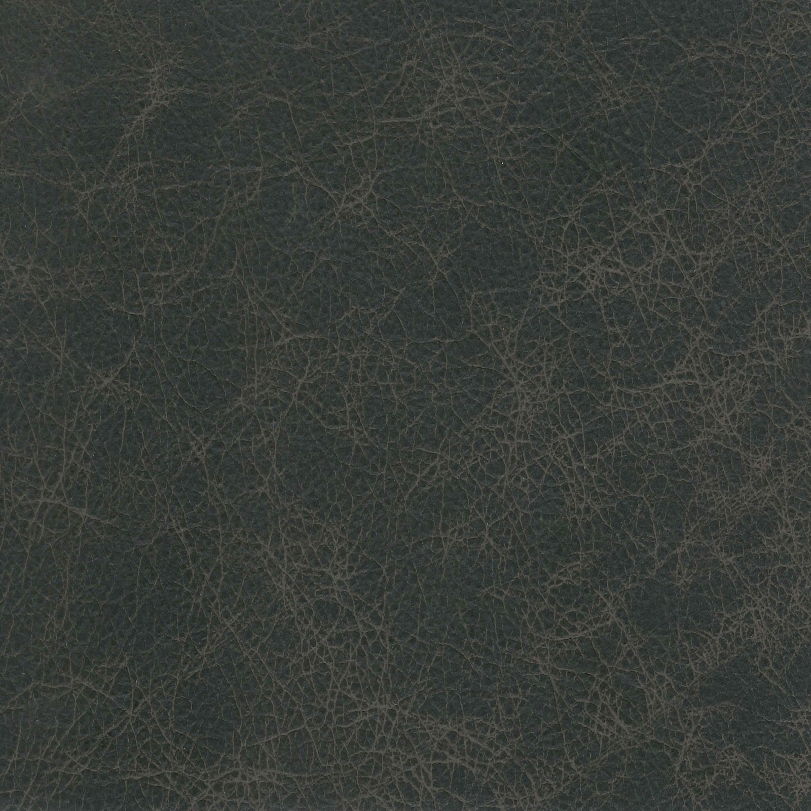 Origin Leather - Rune