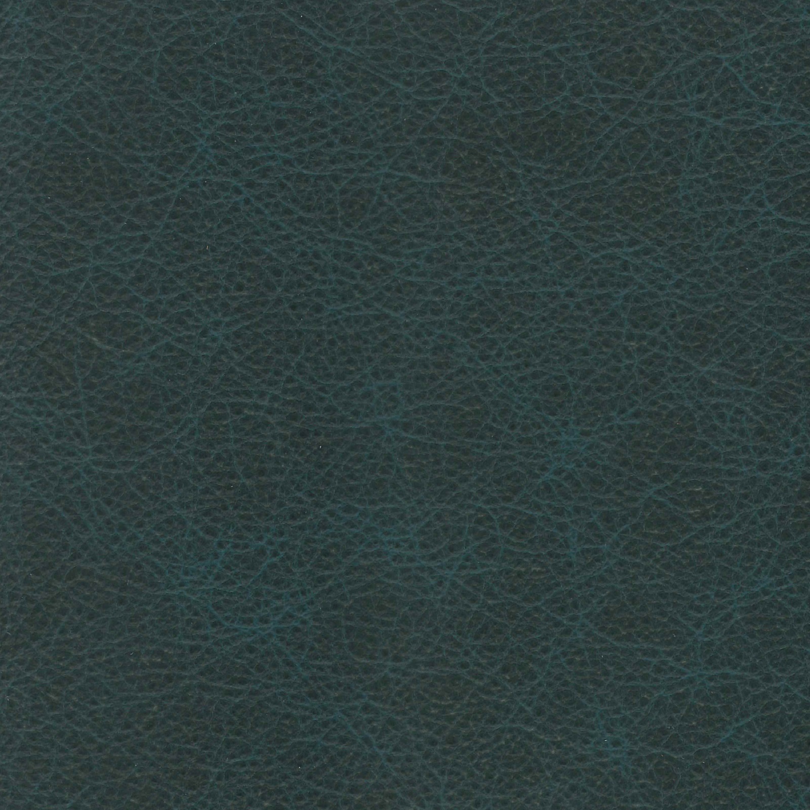 Origin Leather - Tapestry