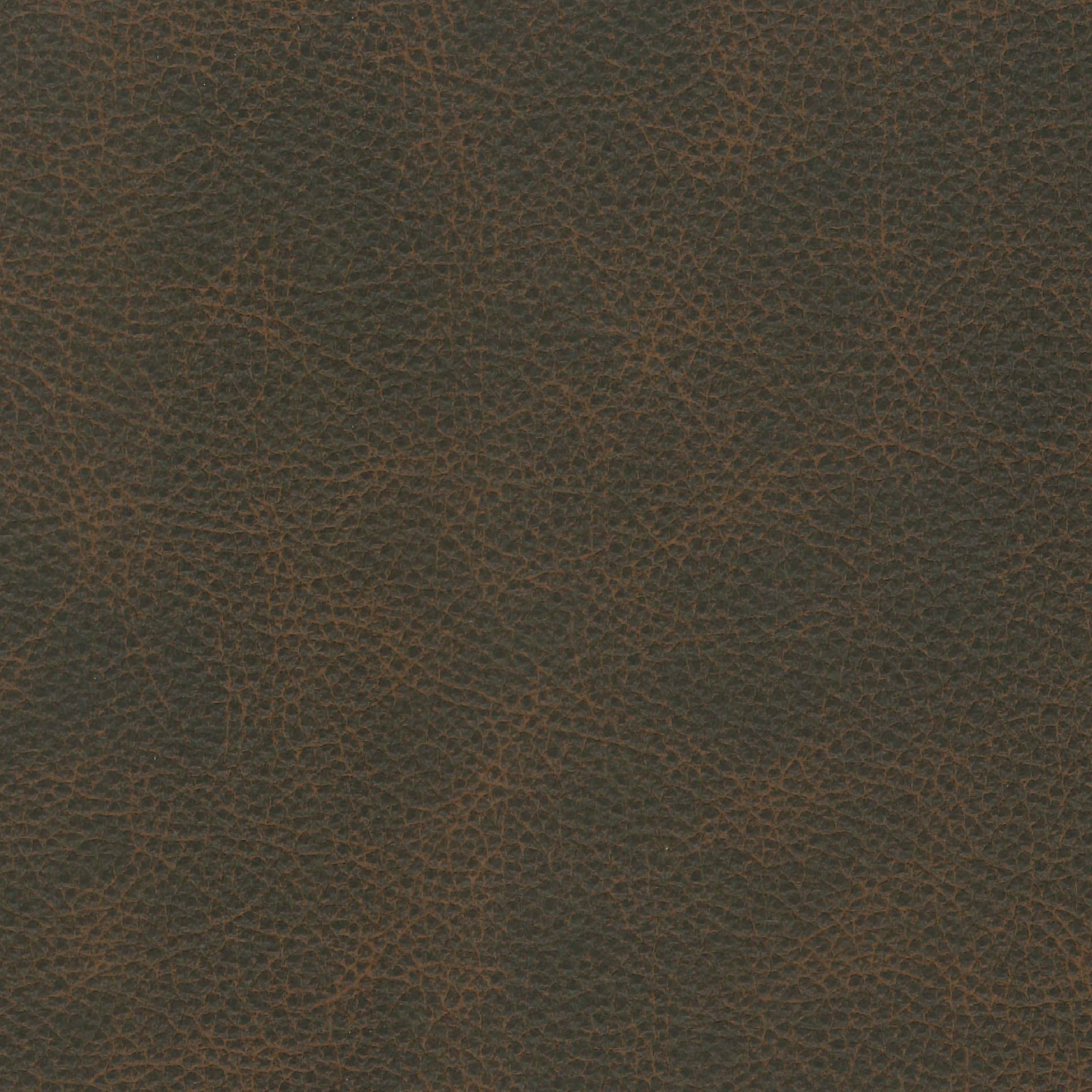 Origin Leather - Totem