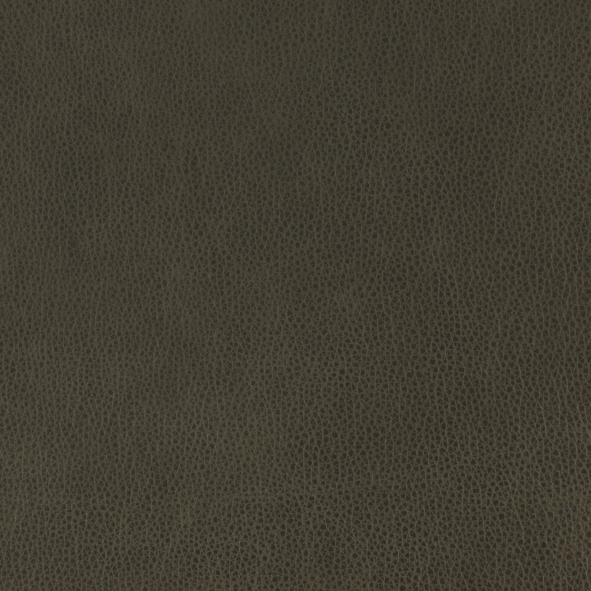 Altara Leather - Charcoal