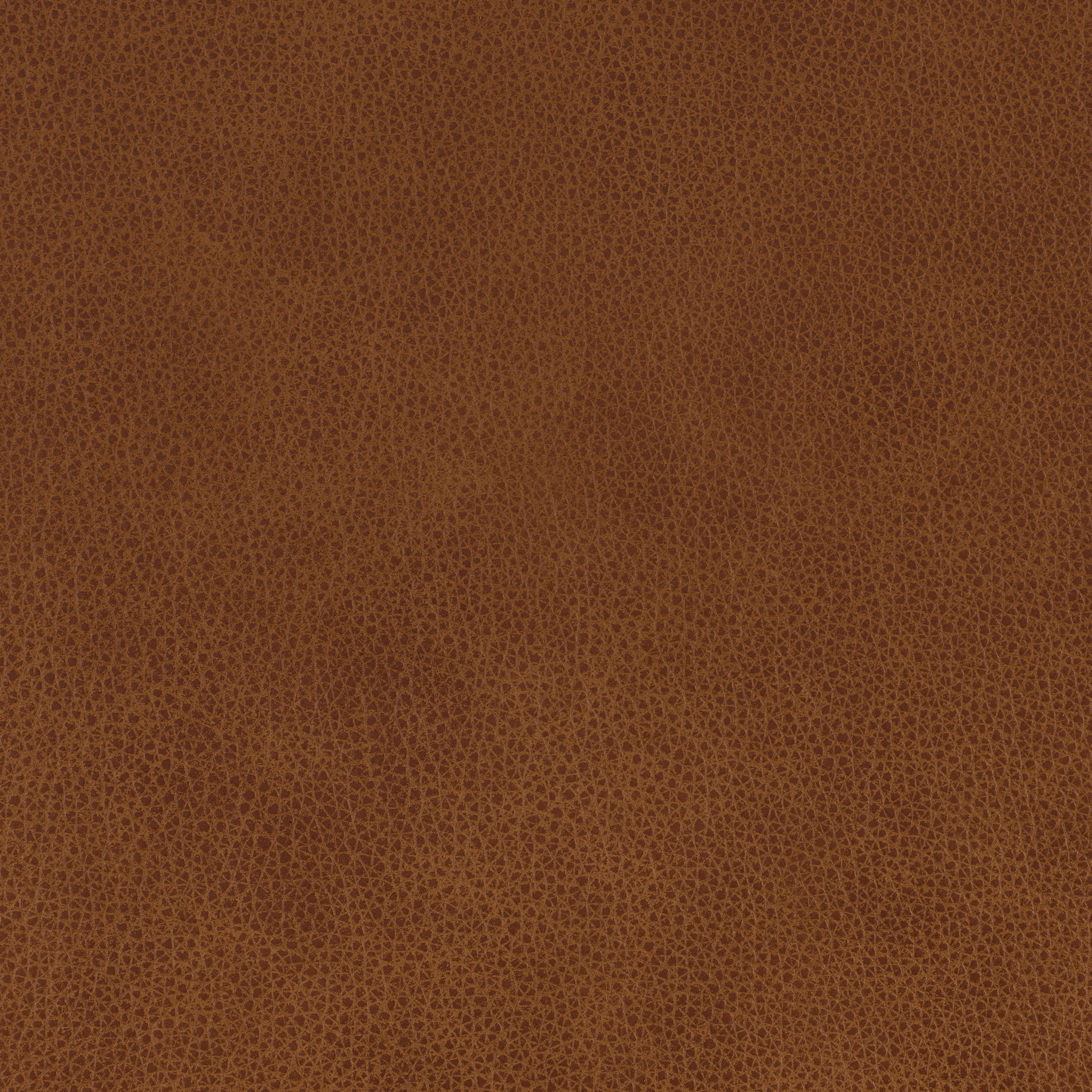 Altara Leather - Hellbraun