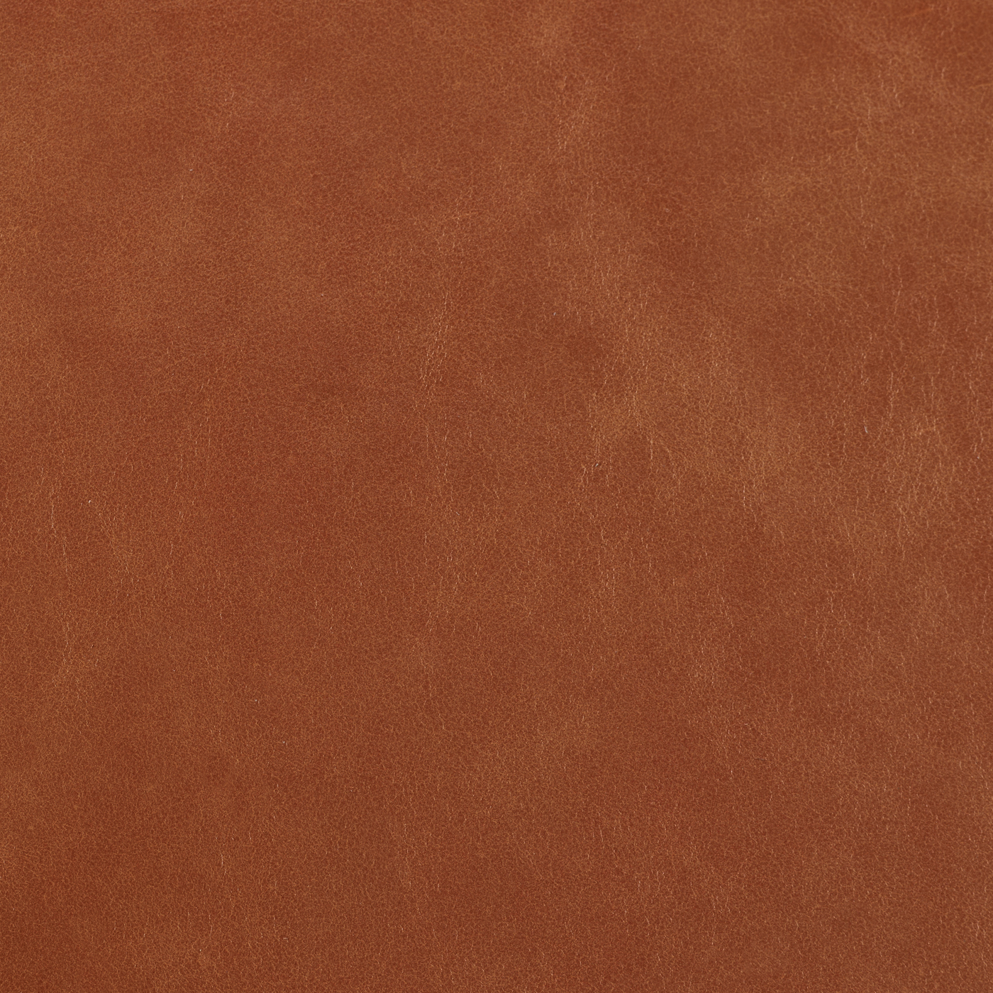 Legacy Leather - Fire Coral