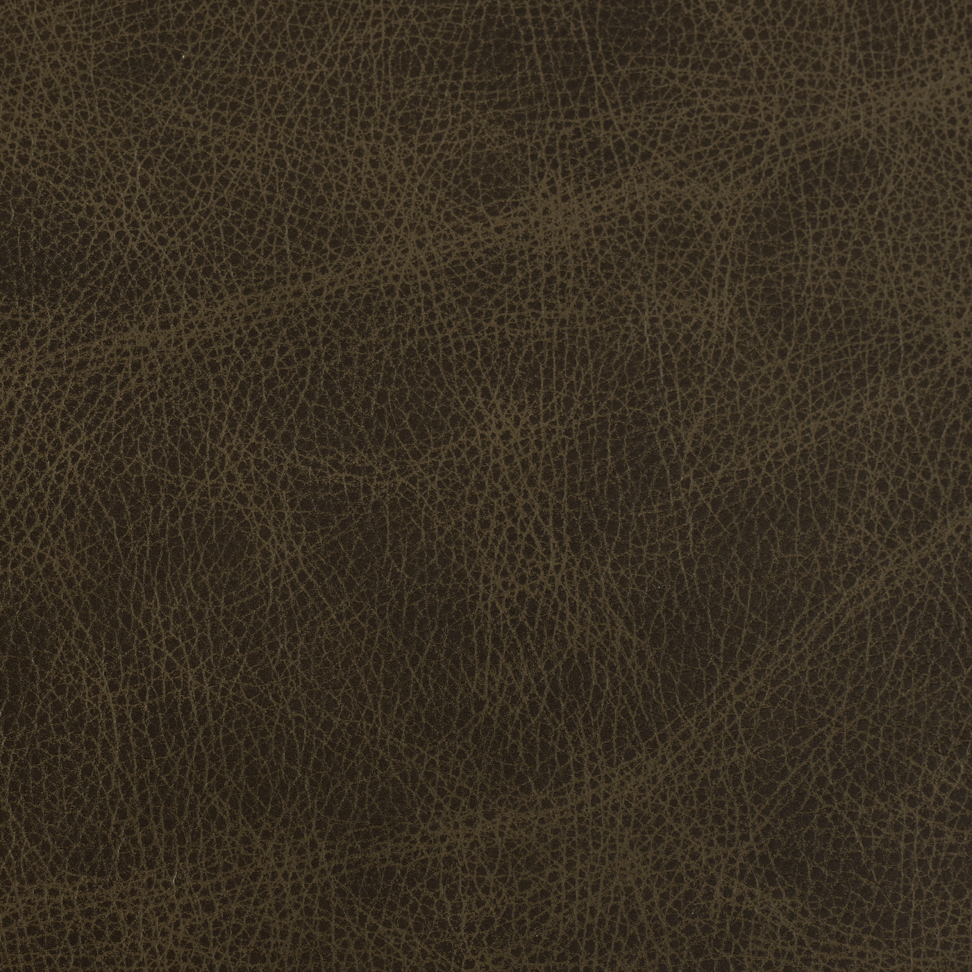 Saloon Leather - Chaps