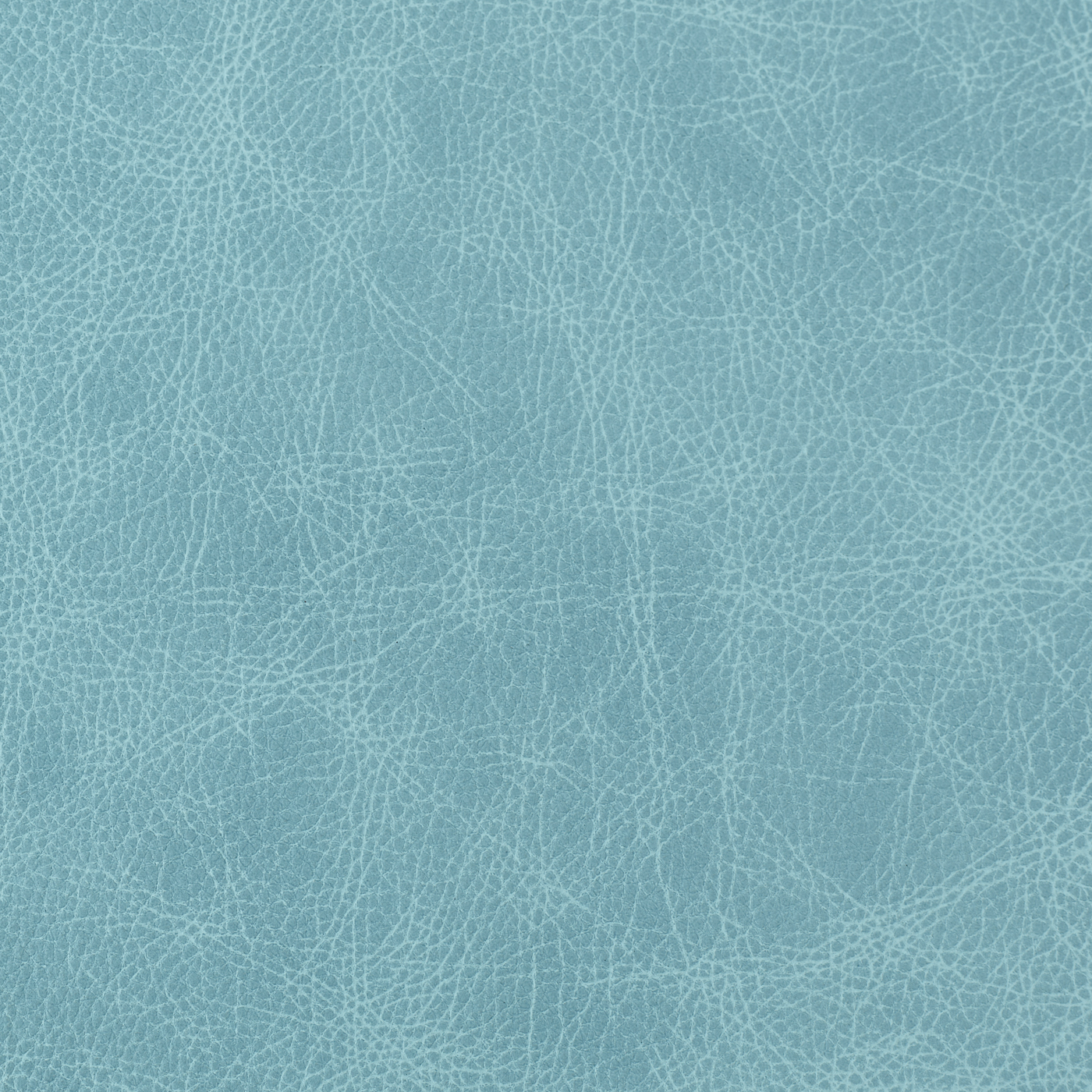 Saloon Leather - Denim