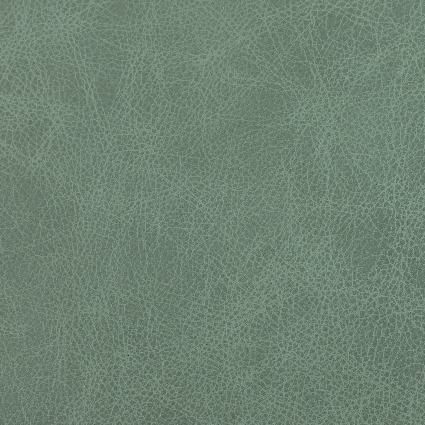 Saloon Leather - Split Pea