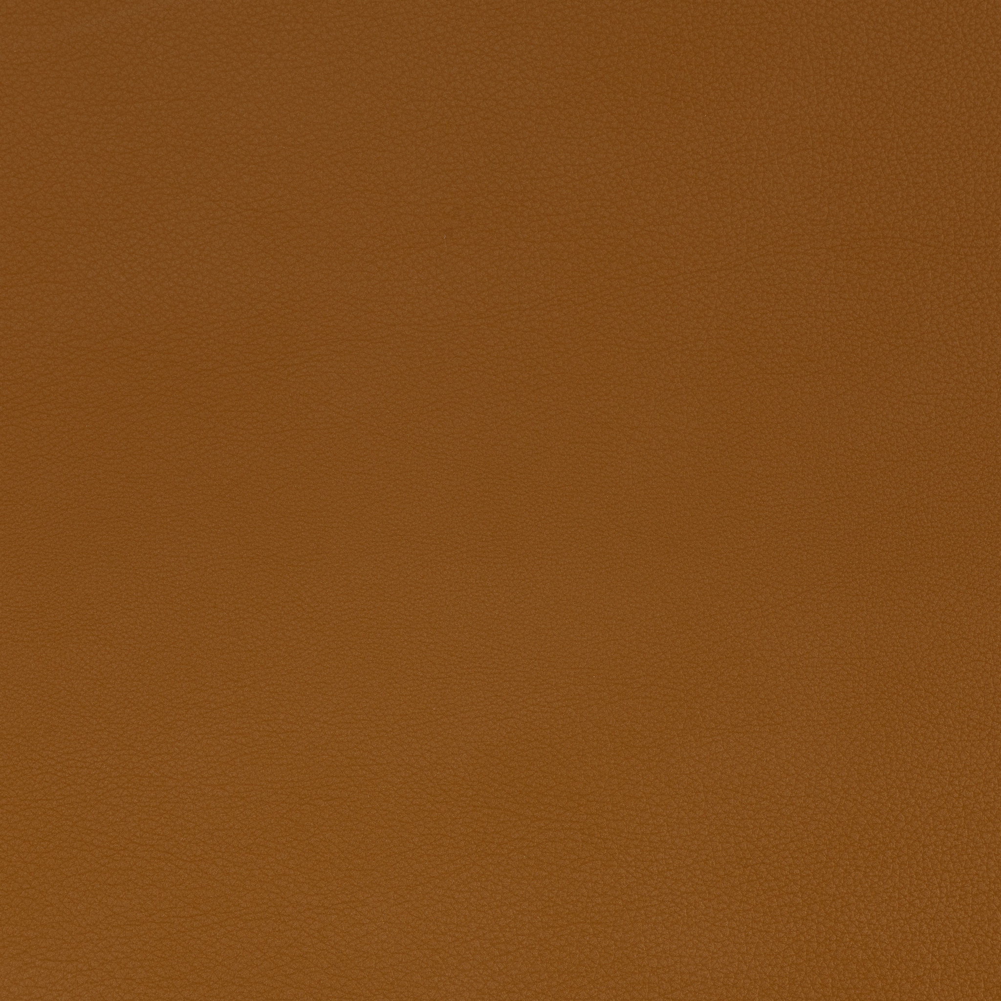Tempesta Leather - Acacia