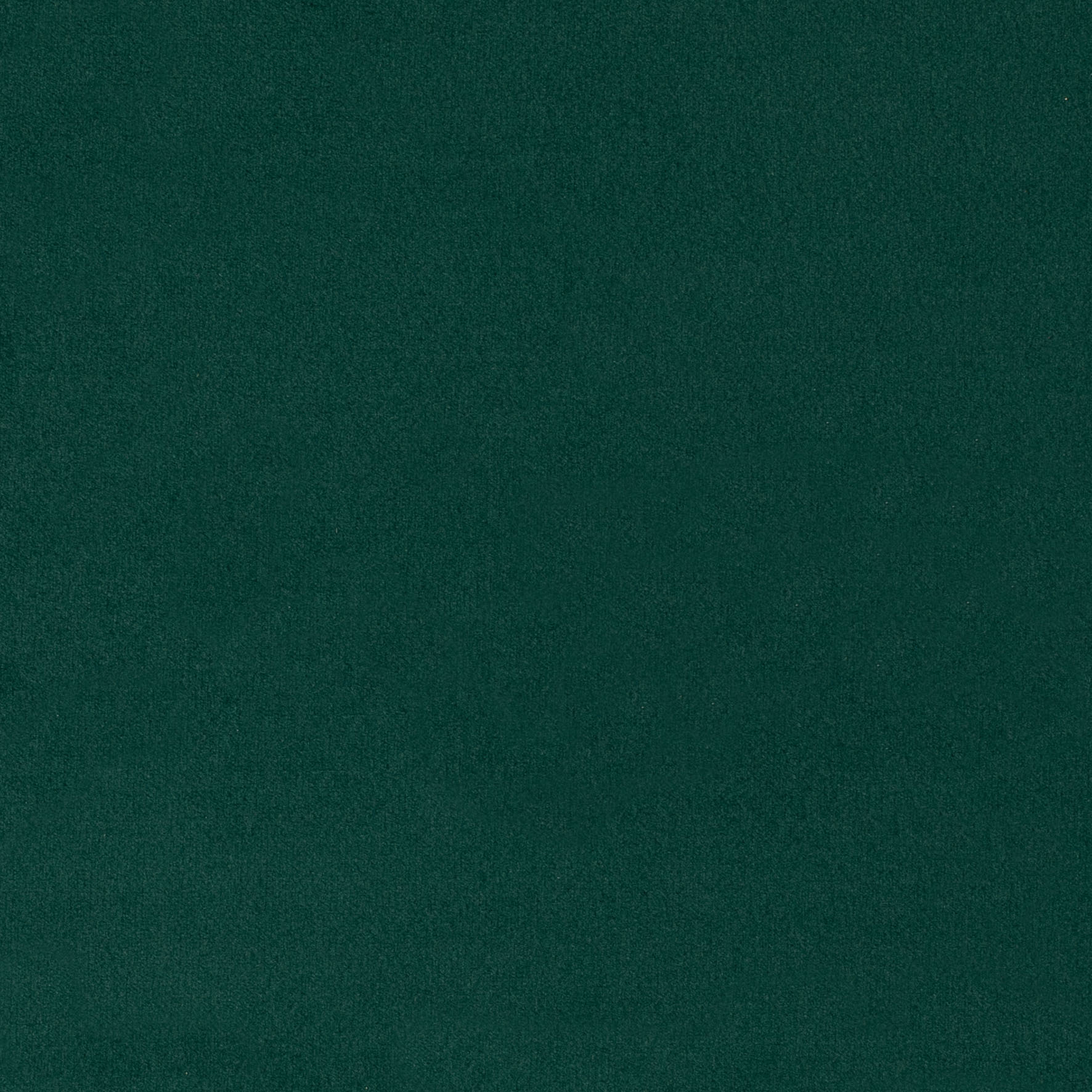 Prima Velvet col Forest