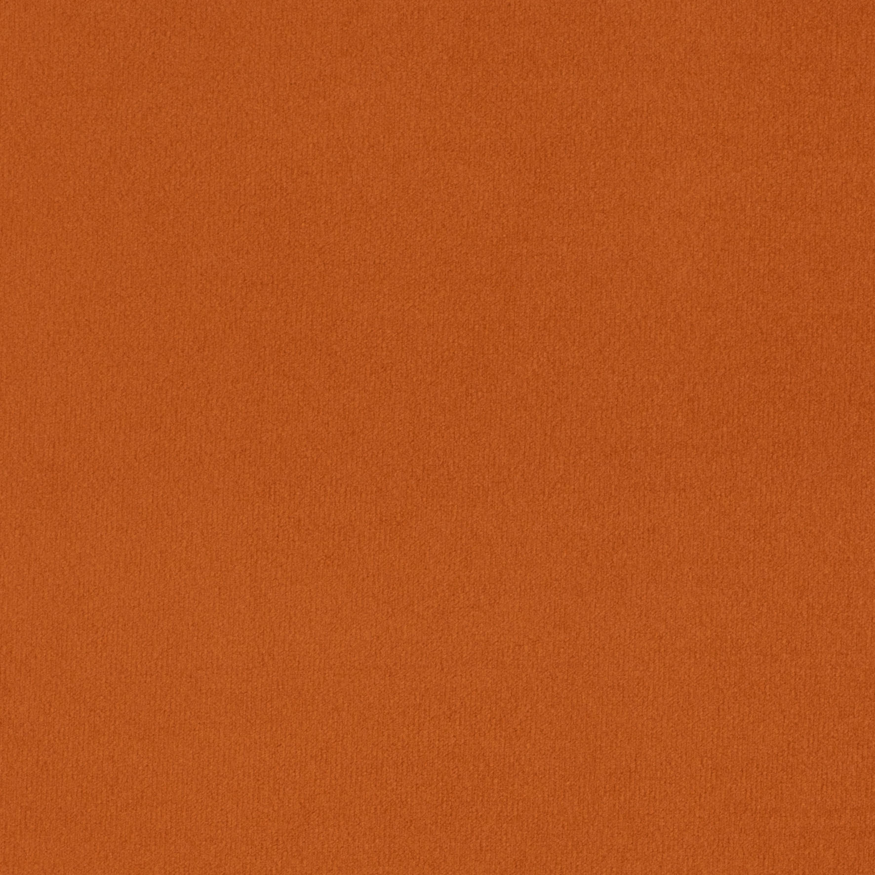 Prima Velvet col Marigold