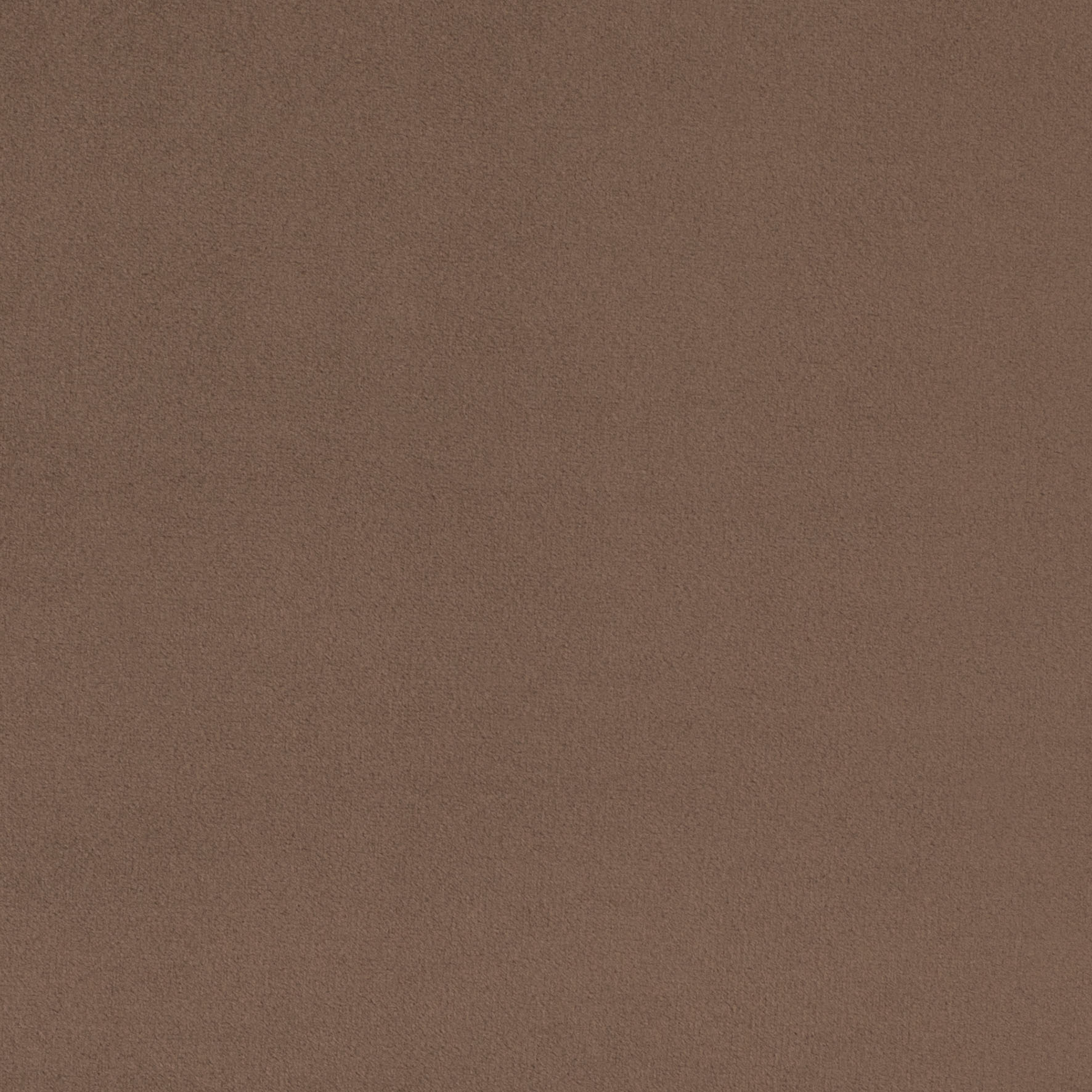 Prima Velvet col Mushroom
