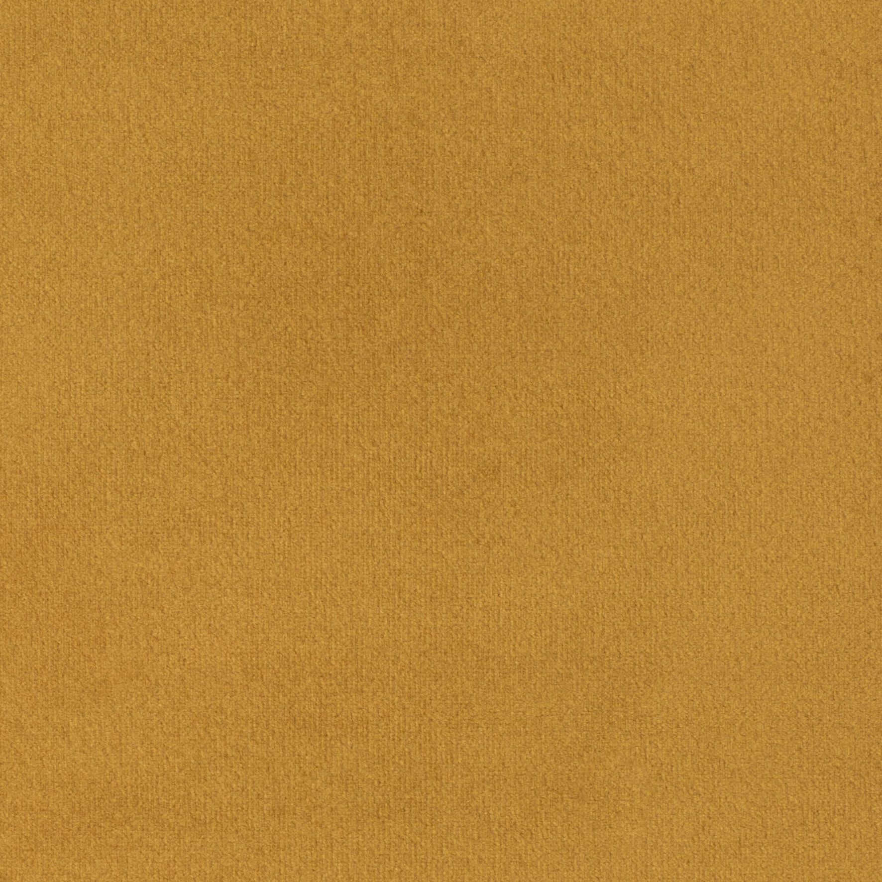 Prima Velvet col Tumeric